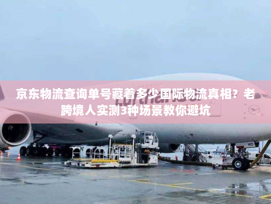 京东物流查询单号藏着多少国际物流真相？老跨境人实测3种场景教你避坑