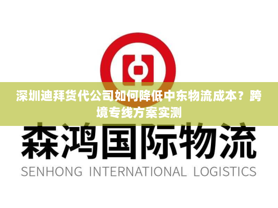 深圳迪拜货代公司如何降低中东物流成本？跨境专线方案实测