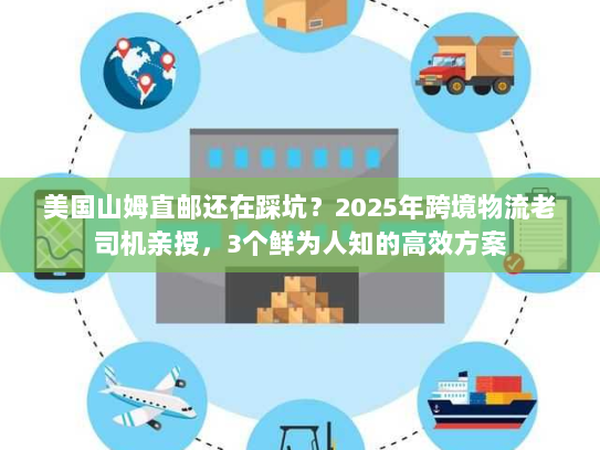 美国山姆直邮还在踩坑?2025年跨境物流老司机亲授,3个鲜为人知的高效方案 美国山姆直邮还在踩坑?2025年跨境物流老司机亲授,3个鲜为人知的高效方案
