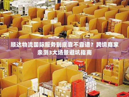 顺达物流国际服务到底靠不靠谱？跨境商家亲测3大场景避坑指南