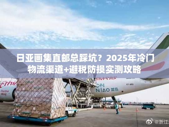 日亚画集直邮总踩坑？2025年冷门物流渠道+避税防损实测攻略