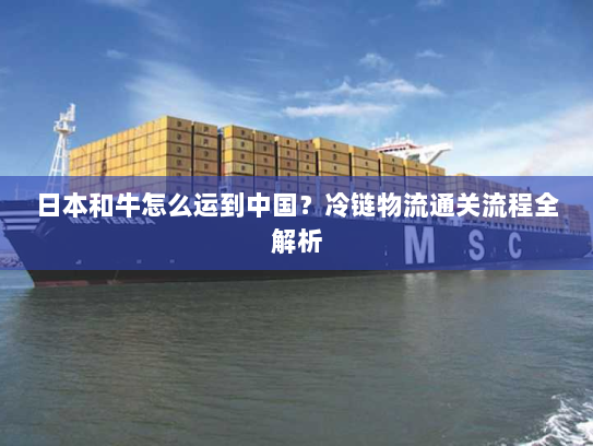 日本和牛怎么运到中国?冷链物流通关流程全解析 日本和牛怎么运到中国?冷链物流通关流程全解析