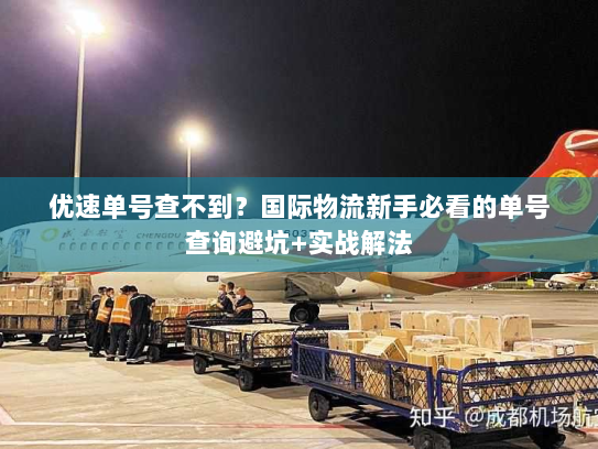 优速单号查不到？国际物流新手必看的单号查询避坑+实战解法