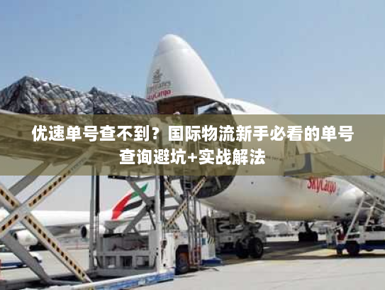 优速单号查不到？国际物流新手必看的单号查询避坑+实战解法