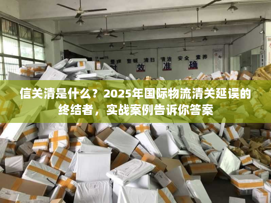 信关清是什么？2025年国际物流清关延误的终结者，实战案例告诉你答案