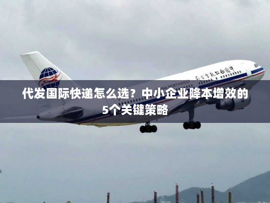 代发国际快递怎么选？中小企业降本增效的5个关键策略