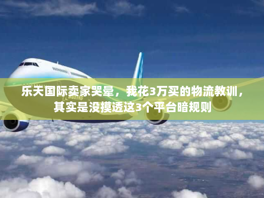 乐天国际卖家哭晕，我花3万买的物流教训，其实是没摸透这3个平台暗规则