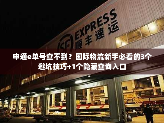 申通e单号查不到？国际物流新手必看的3个避坑技巧+1个隐藏查询入口