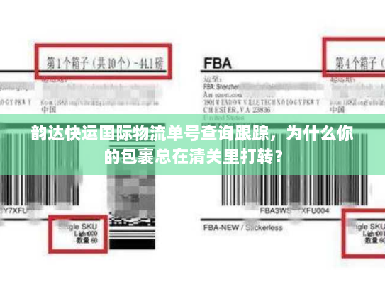 韵达快运国际物流单号查询跟踪，为什么你的包裹总在清关里打转？