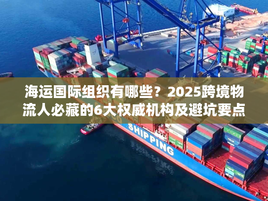 海运国际组织有哪些？2025跨境物流人必藏的6大权威机构及避坑要点