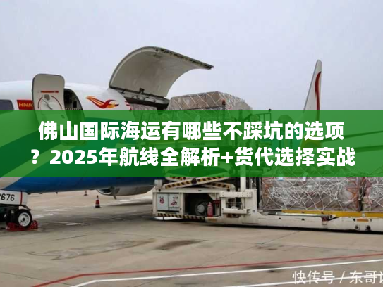 佛山国际海运有哪些不踩坑的选项？2025年航线全解析+货代选择实战技巧