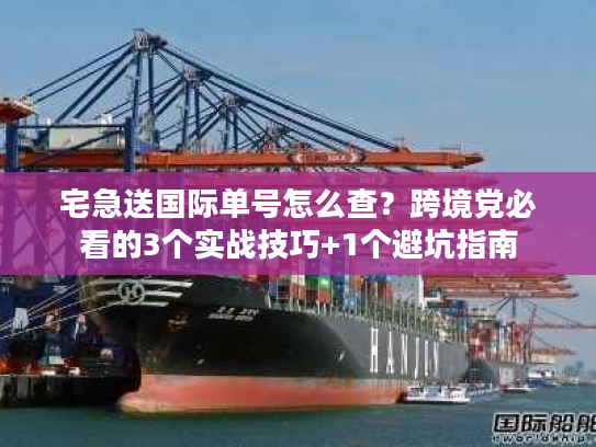 宅急送国际单号怎么查?跨境党必看的3个实战技巧+1个避坑指南 宅急送国际单号怎么查?跨境党必看的3个实战技巧+1个避坑指南