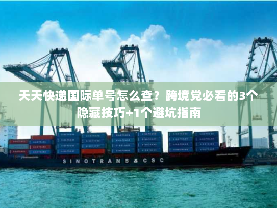 天天快递国际单号怎么查？跨境党必看的3个隐藏技巧+1个避坑指南