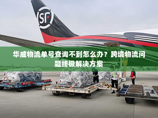 华威物流单号查询不到怎么办?跨境物流问题终极解决方案 华威物流单号查询不到怎么办?跨境物流问题终极解决方案