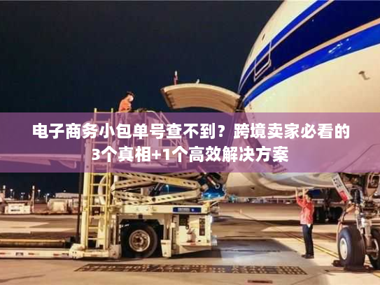 电子商务小包单号查不到？跨境卖家必看的3个真相+1个高效解决方案