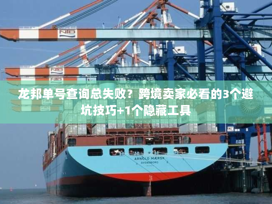 龙邦单号查询总失败？跨境卖家必看的3个避坑技巧+1个隐藏工具