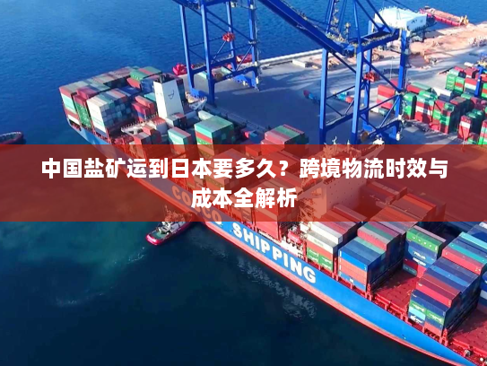 中国盐矿运到日本要多久?跨境物流时效与成本全解析 中国盐矿运到日本要多久?跨境物流时效与成本全解析
