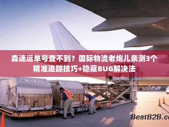 森速运单号查不到？国际物流老炮儿亲测3个精准追踪技巧+隐藏BUG解决法