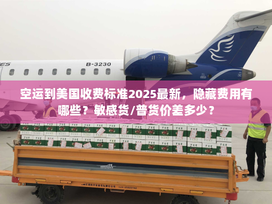 空运到美国收费标准2025最新，隐藏费用有哪些？敏感货/普货价差多少？