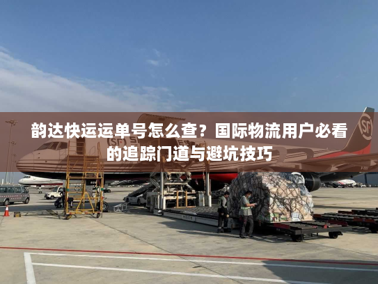 韵达快运运单号怎么查？国际物流用户必看的追踪门道与避坑技巧