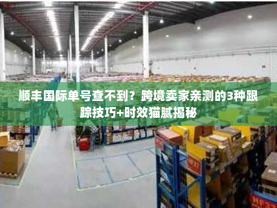 顺丰国际单号查不到?跨境卖家亲测的3种跟踪技巧+时效猫腻揭秘 顺丰国际单号查不到?跨境卖家亲测的3种跟踪技巧+时效猫腻揭秘