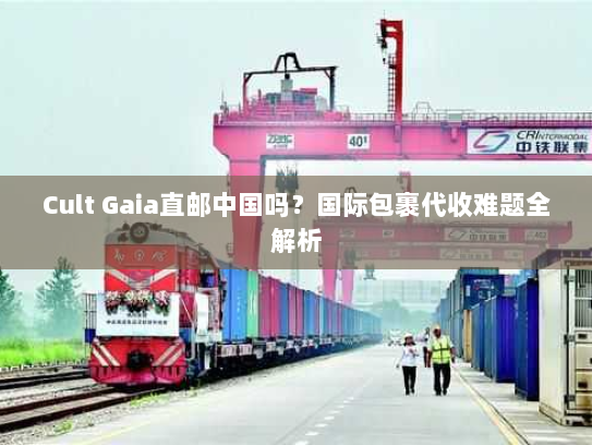 Cult Gaia直邮中国吗？国际包裹代收难题全解析