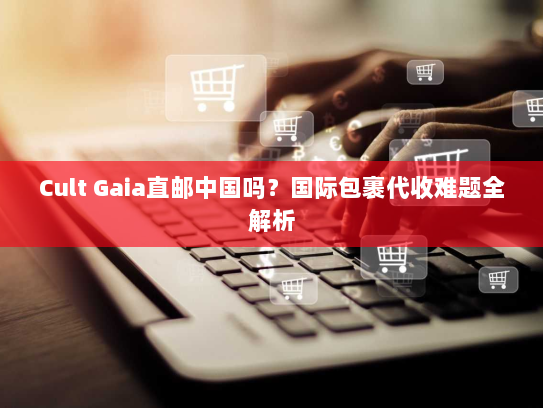 Cult Gaia直邮中国吗？国际包裹代收难题全解析