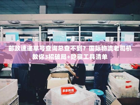 邮政速递单号查询总查不到？国际物流老司机教你3招破局+隐藏工具清单