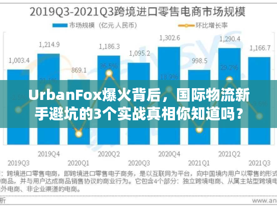 UrbanFox爆火背后，国际物流新手避坑的3个实战真相你知道吗？