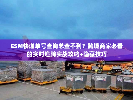 ESM快递单号查询总查不到？跨境商家必看的实时追踪实战攻略+隐藏技巧