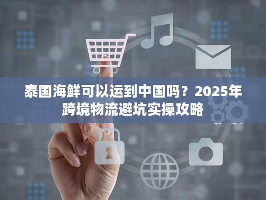 泰国海鲜可以运到中国吗？2025年跨境物流避坑实操攻略