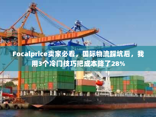Focalprice卖家必看，国际物流踩坑后，我用3个冷门技巧把成本降了28%