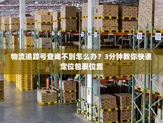 物流追踪号查询不到怎么办?3分钟教你快速定位包裹位置 物流追踪号查询不到怎么办?3分钟教你快速定位包裹位置