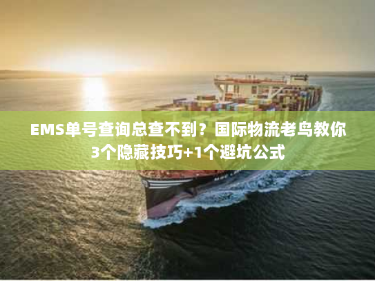 EMS单号查询总查不到？国际物流老鸟教你3个隐藏技巧+1个避坑公式