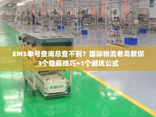 EMS单号查询总查不到？国际物流老鸟教你3个隐藏技巧+1个避坑公式