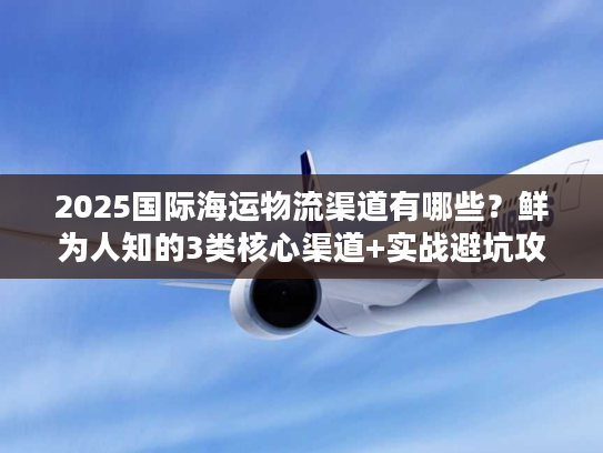 2025国际海运物流渠道有哪些？鲜为人知的3类核心渠道+实战避坑攻略
