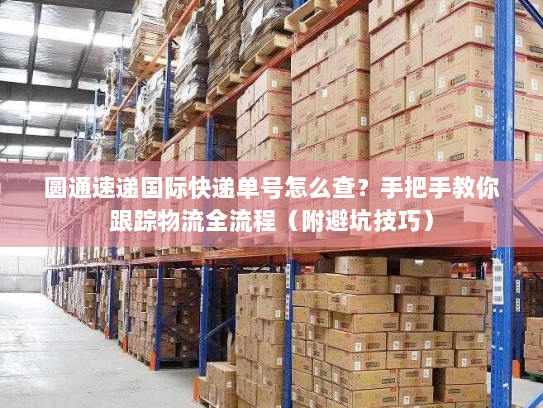 圆通速递国际快递单号怎么查？手把手教你跟踪物流全流程（附避坑技巧）