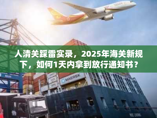 人清关踩雷实录，2025年海关新规下，如何1天内拿到放行通知书？