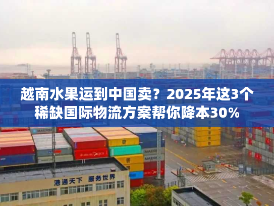 越南水果运到中国卖？2025年这3个稀缺国际物流方案帮你降本30%