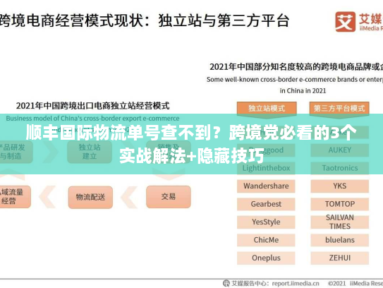 顺丰国际物流单号查不到?跨境党必看的3个实战解法+隐藏技巧 顺丰国际物流单号查不到?跨境党必看的3个实战解法+隐藏技巧