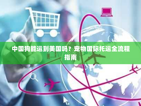 中国狗能运到美国吗?宠物国际托运全流程指南 中国狗能运到美国吗?宠物国际托运全流程指南