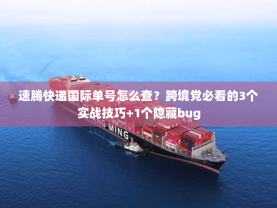 速腾快递国际单号怎么查？跨境党必看的3个实战技巧+1个隐藏bug