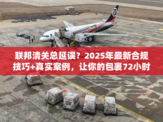 联邦清关总延误？2025年最新合规技巧+真实案例，让你的包裹72小时内放行！