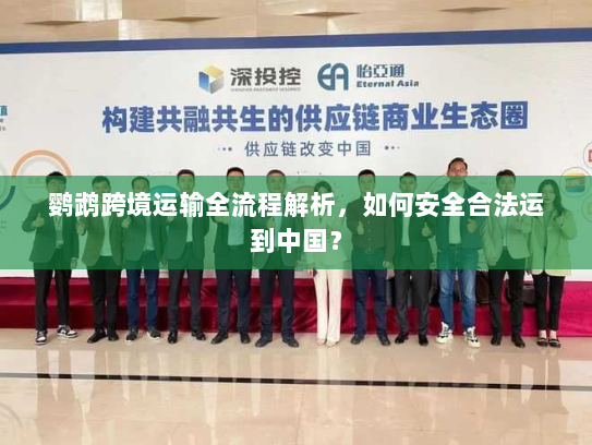 鹦鹉跨境运输全流程解析,如何安全合法运到中国? 鹦鹉跨境运输全流程解析,如何安全合法运到中国?
