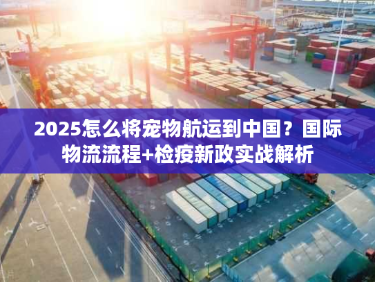 2025怎么将宠物航运到中国？国际物流流程+检疫新政实战解析