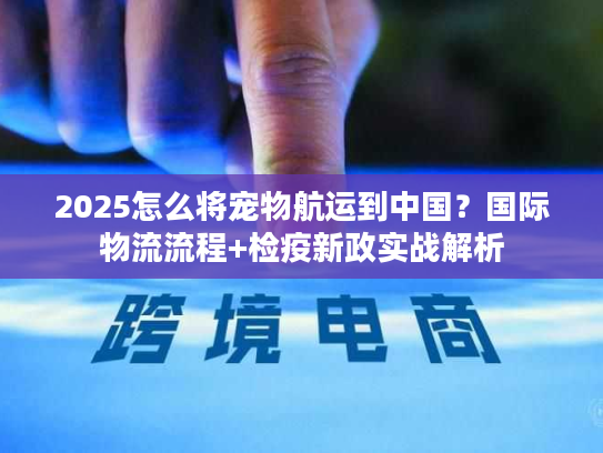 2025怎么将宠物航运到中国？国际物流流程+检疫新政实战解析
