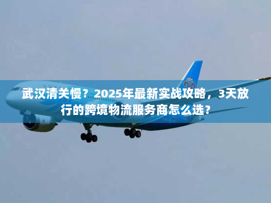 武汉清关慢？2025年最新实战攻略，3天放行的跨境物流服务商怎么选？