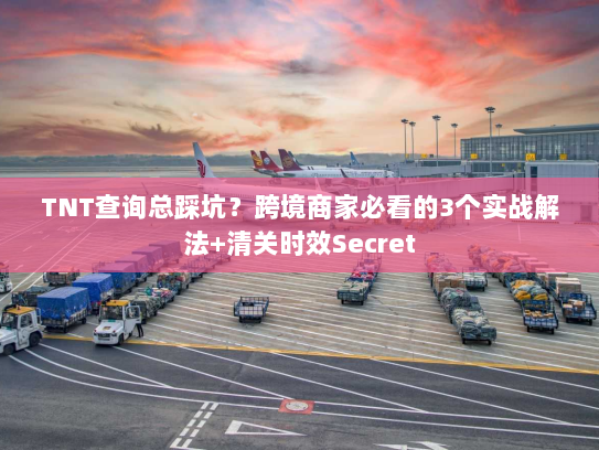 TNT查询总踩坑？跨境商家必看的3个实战解法+清关时效Secret