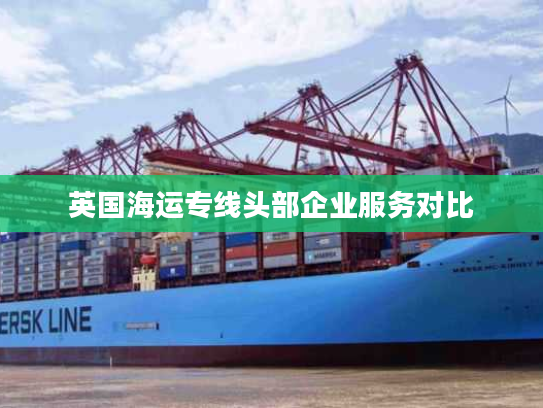 英国海运专线头部企业服务对比