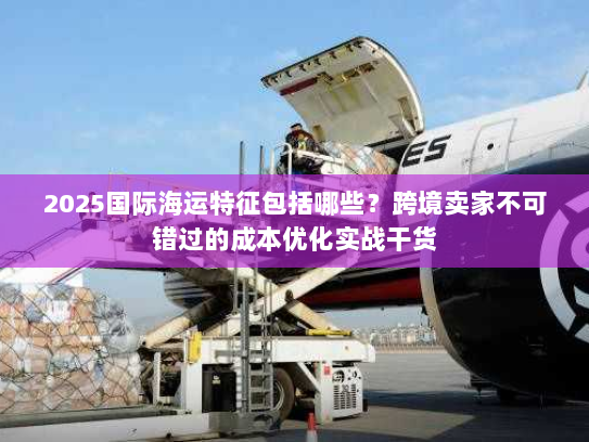 2025国际海运特征包括哪些？跨境卖家不可错过的成本优化实战干货